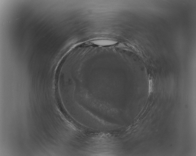 X0000069810243200606021512