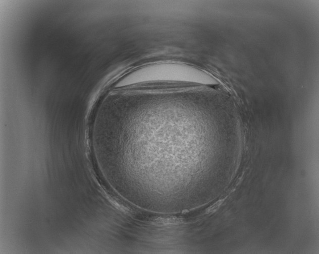 X0000069810245200606021512