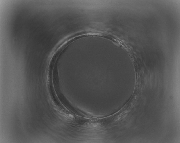 X0000069810247200606021512