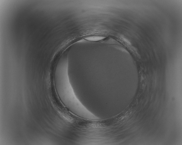 X0000069810250200606021512