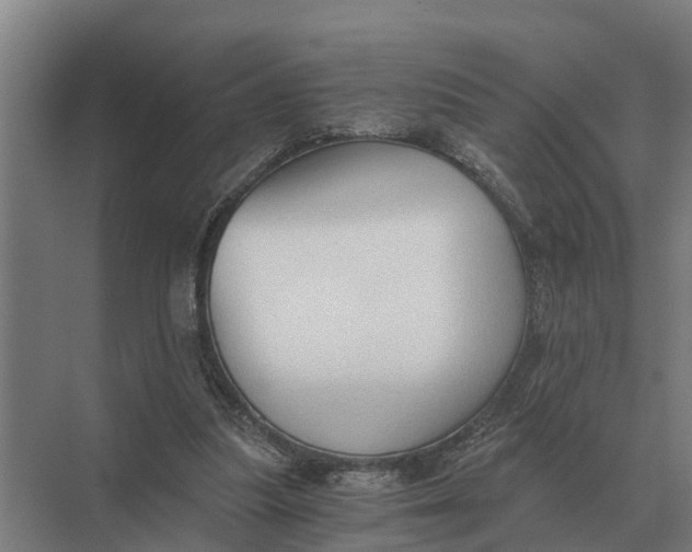 X0000069810251200606021512