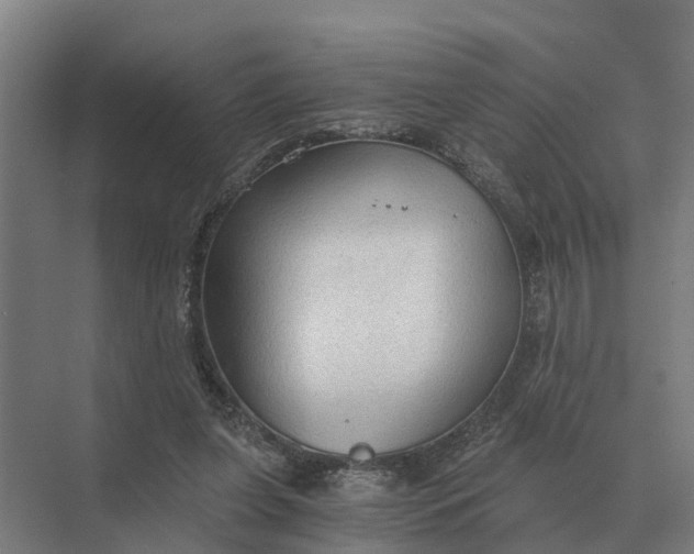 X0000069810255200606021512