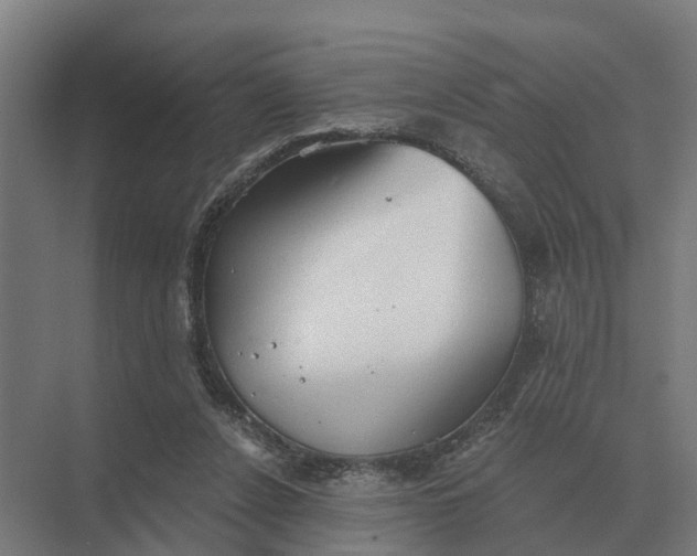 X0000069810256200606021513