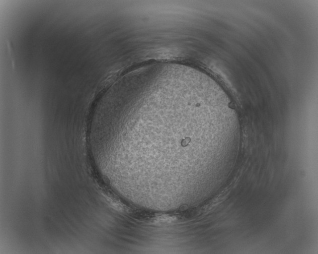 X0000069810257200606021513