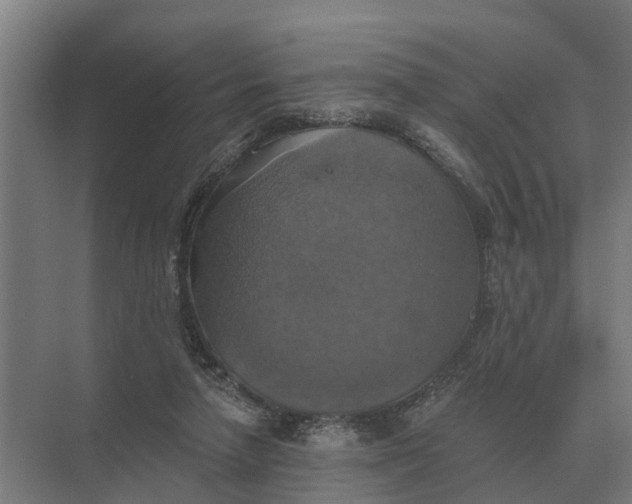 X0000069810258200606021513