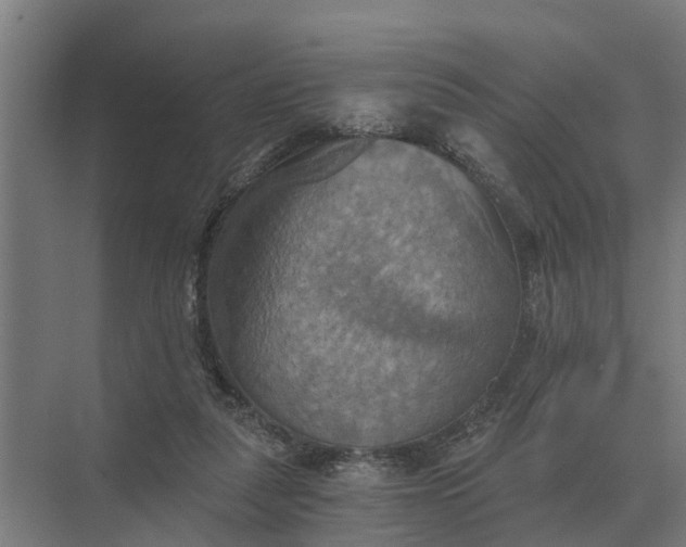 X0000069810259200606021513