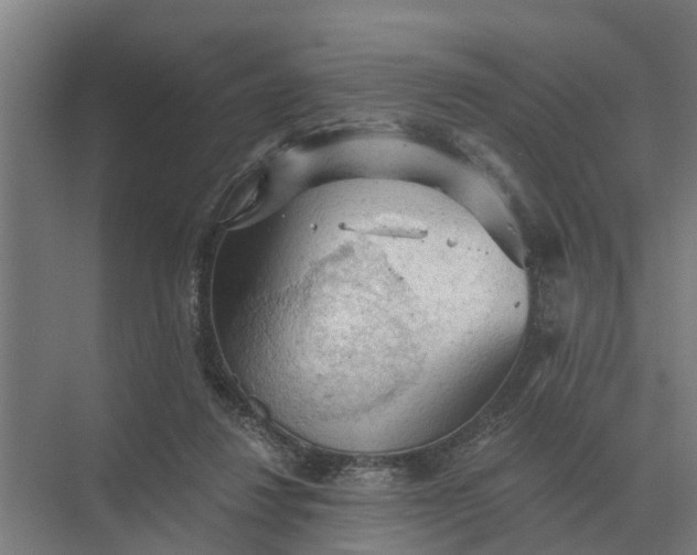 X0000069810260200606021513