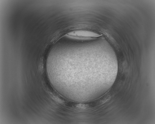 X0000069810261200606021513