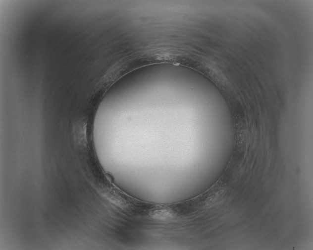 X0000069810262200606021513