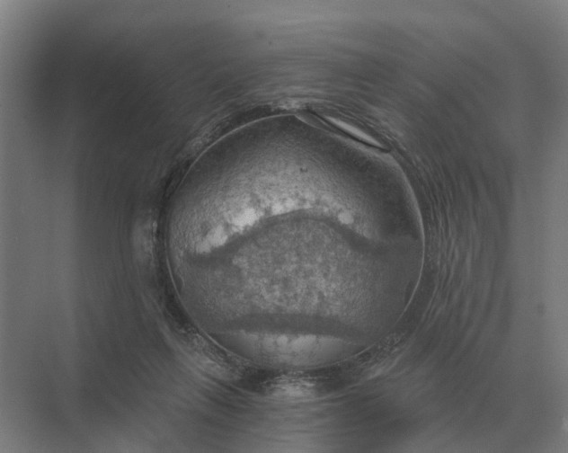 X0000069810263200606021513