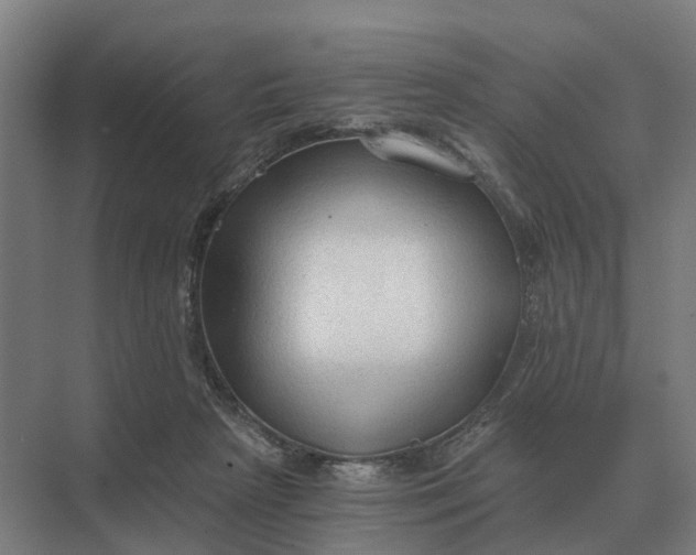 X0000069810265200606021513