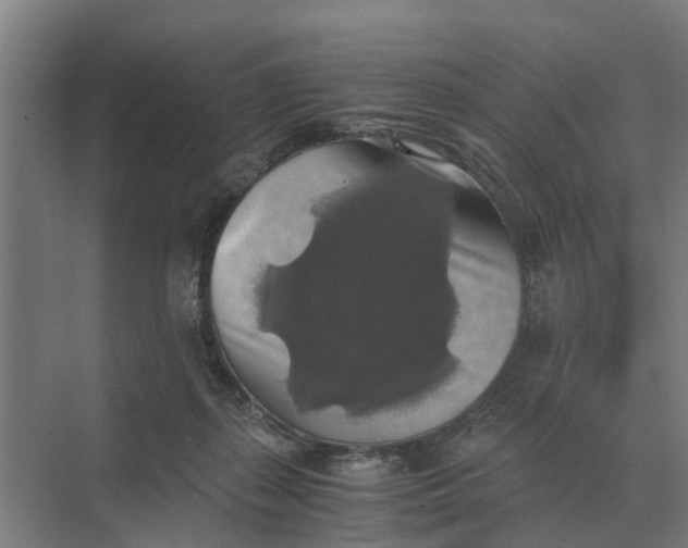 X0000069810267200606021513