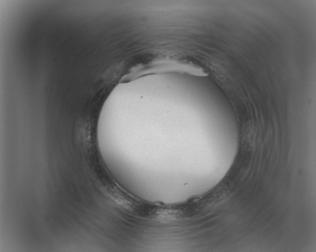 X0000069810268200606021513