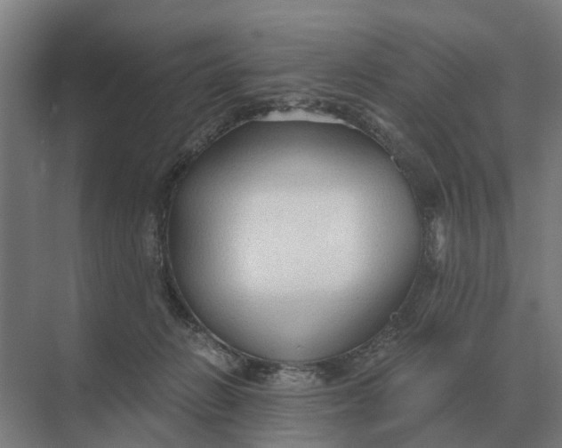 X0000069810270200606021513