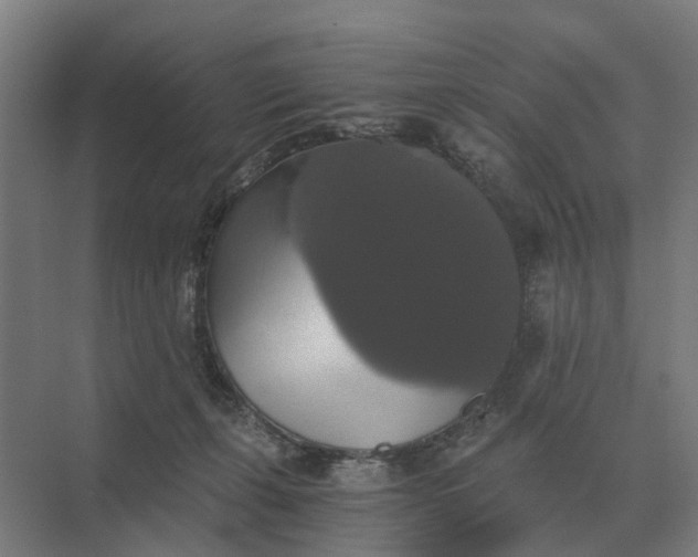 X0000069810271200606021513