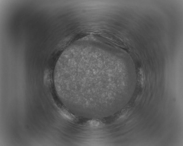 X0000069810272200606021513