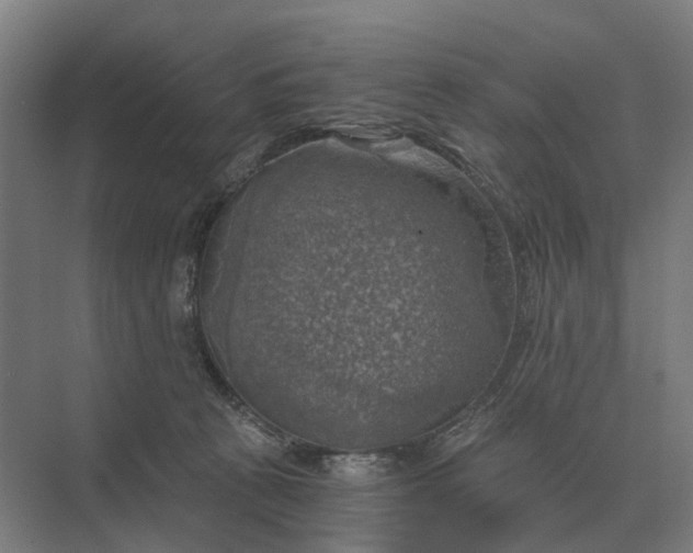 X0000069810273200606021513