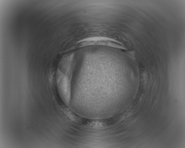 X0000069810276200606021513