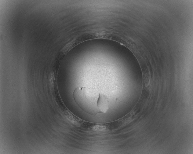 X0000069810279200606021513