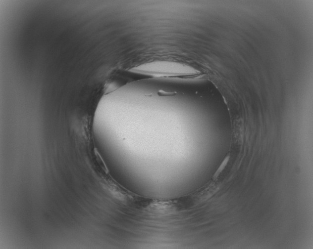 X0000069810280200606021513