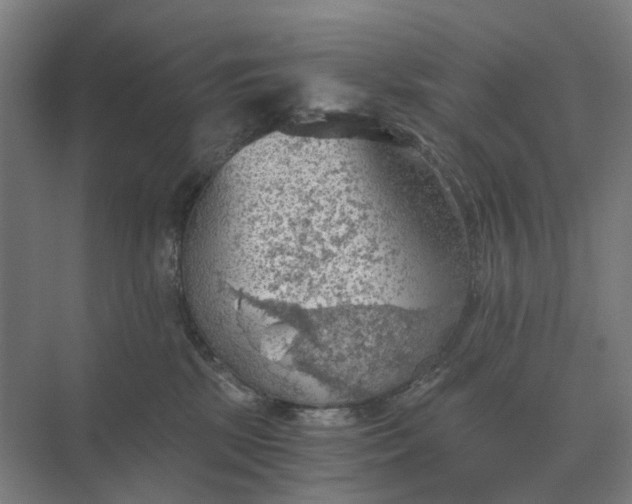 X0000069810281200606021513