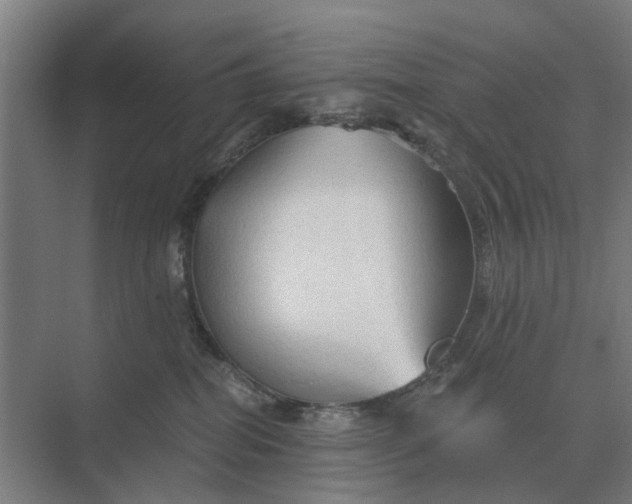 X0000069810282200606021513