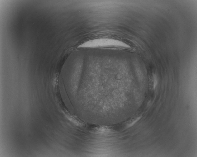 X0000069810284200606021513