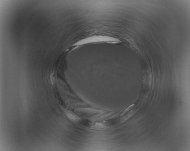 X0000069810285200606021513