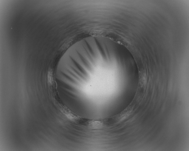 X0000069810287200606021513