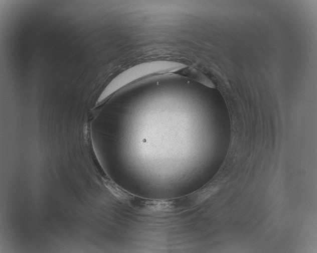 X0000069810288200606021513