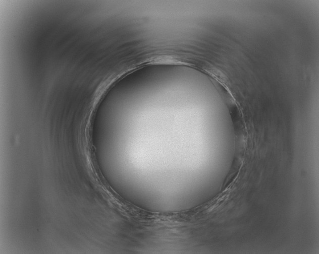 X0000069810289200606021512