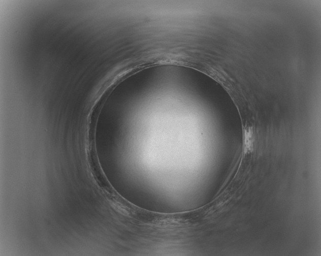 X0000069810291200606021512