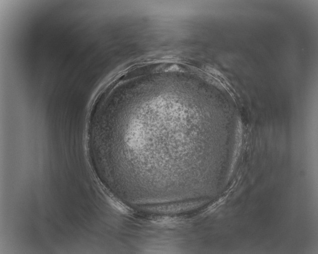 X0000069810293200606021512