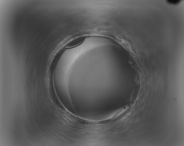 X0000069810295200606021512