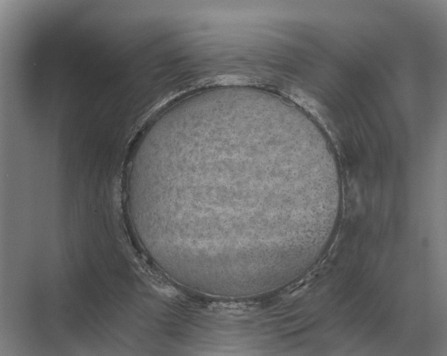 X0000069810297200606021512