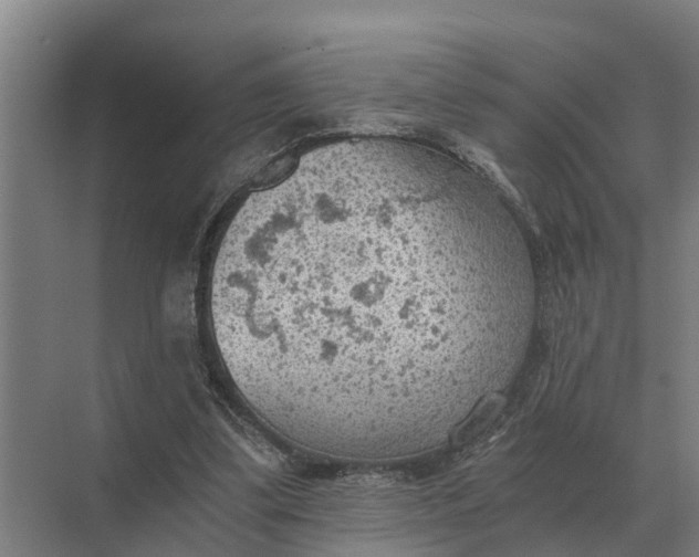 X0000069810299200606021512