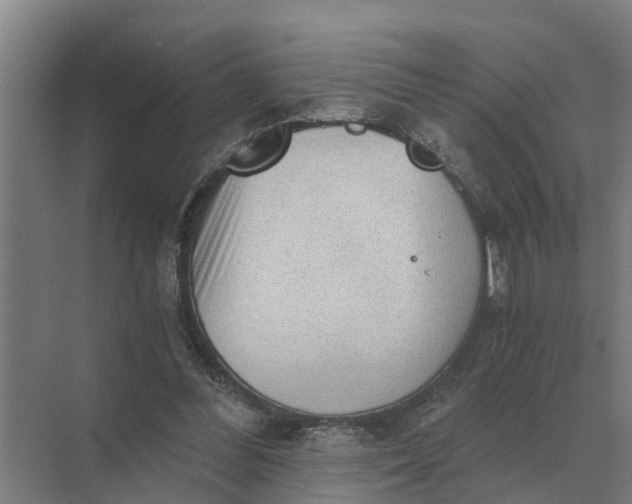 X0000069810300200606021512