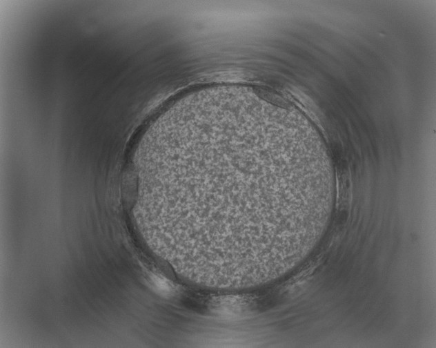 X0000069810301200606021512