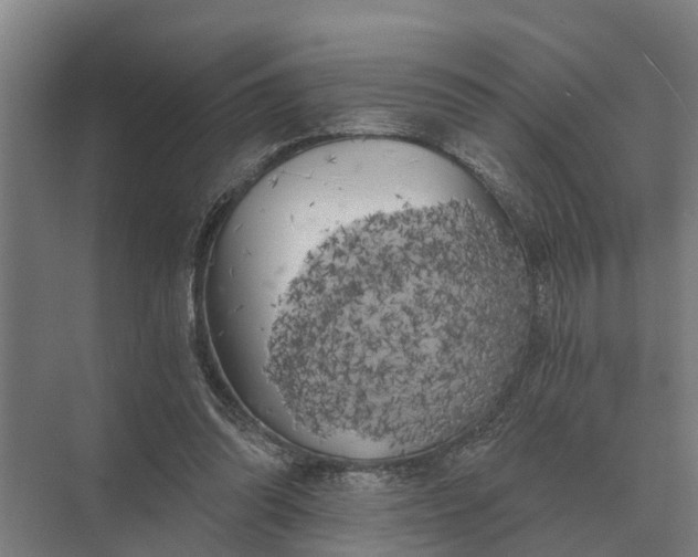 X0000069810302200606021512