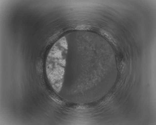 X0000069810303200606021512