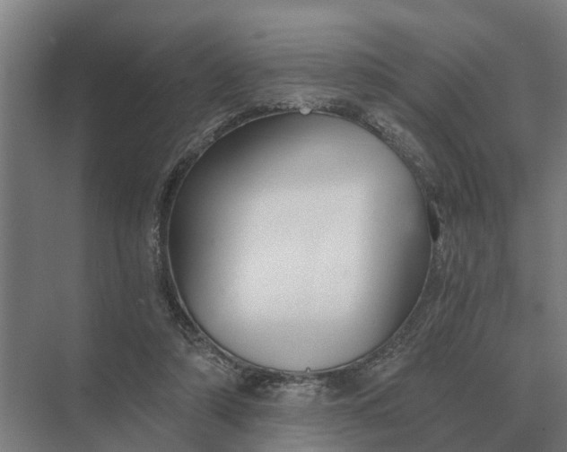 X0000069810306200606021512