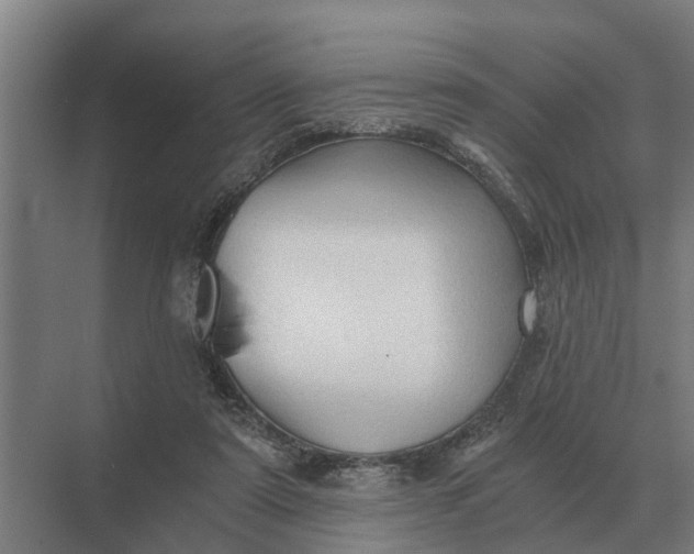 X0000069810307200606021512