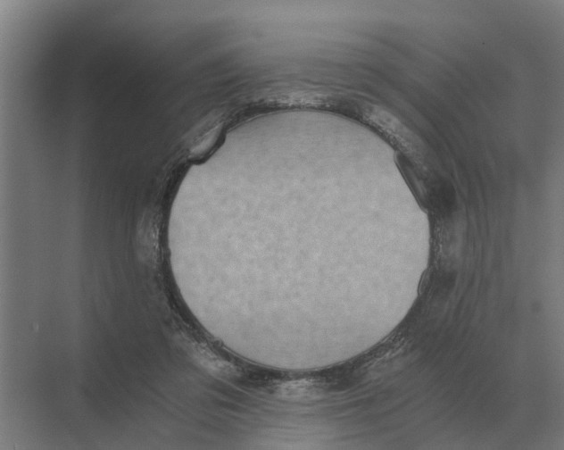 X0000069810309200606021512