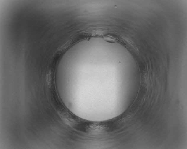 X0000069810311200606021512