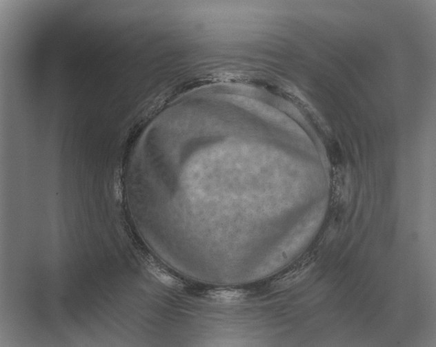 X0000069810313200606021512