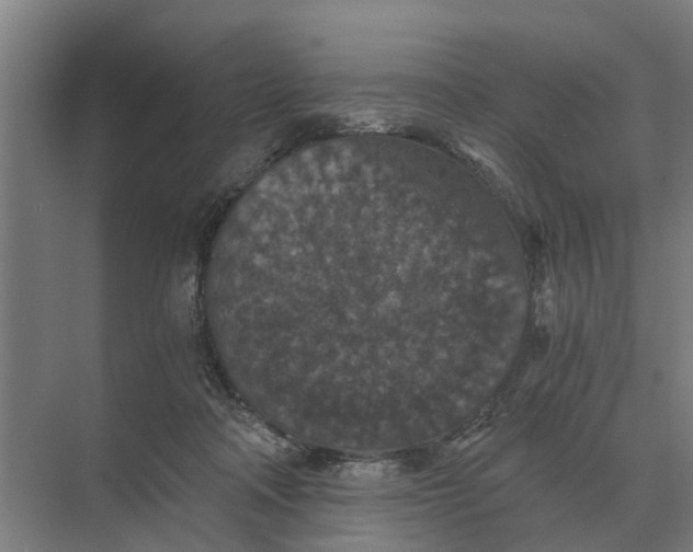 X0000069810314200606021512