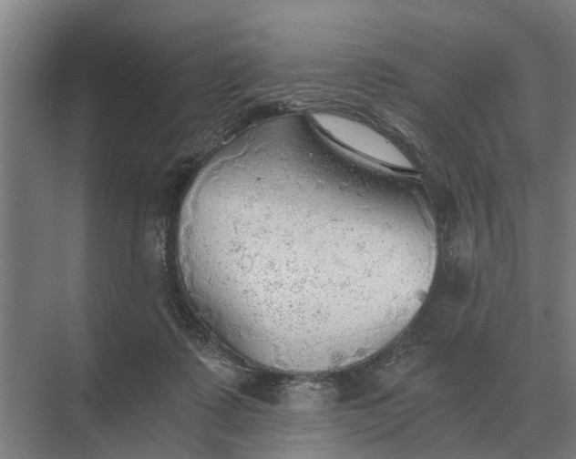 X0000069810315200606021512