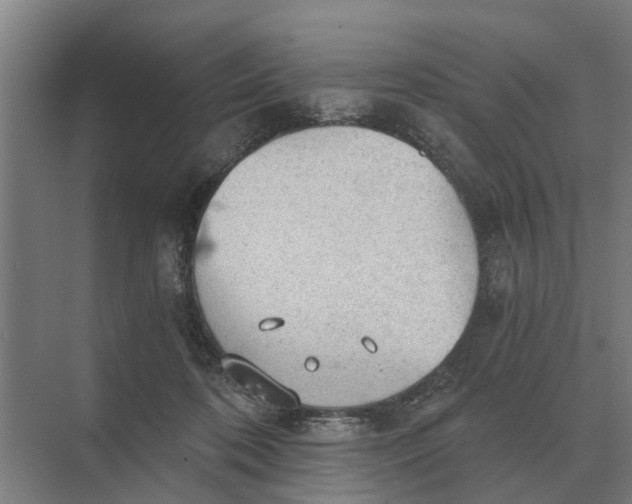 X0000069810316200606021512