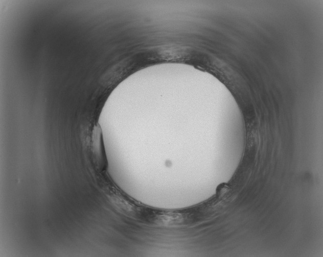 X0000069810317200606021512