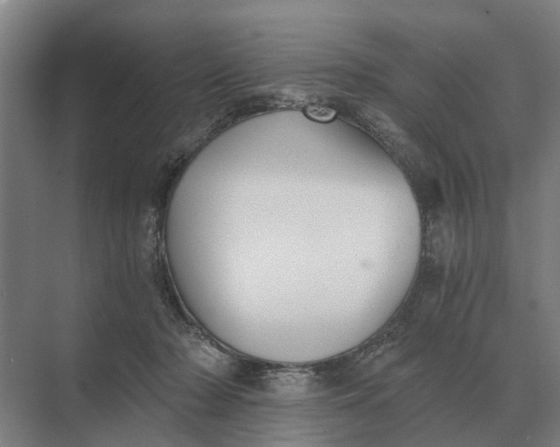 X0000069810318200606021512